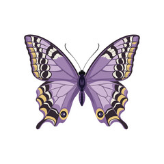Elegant Purple and Yellow Butterfly Vector Illustration