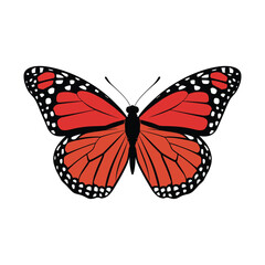 Monarch Butterfly Vector Illustration with Orange and Black Wings