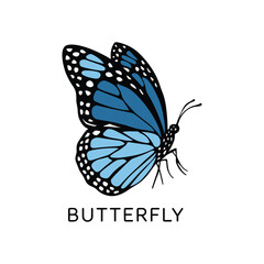 Blue Butterfly Vector Illustration Isolated on White Background