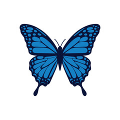 Blue Butterfly Vector Illustration