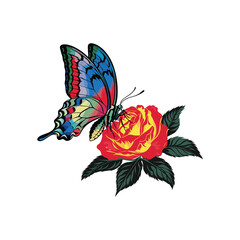 Colorful Butterfly on Red and Yellow Rose Flower Vector Illustration