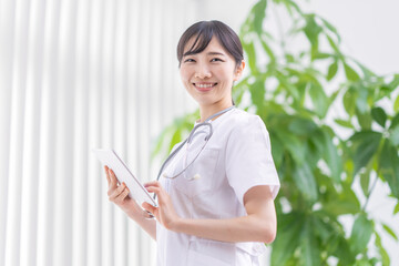 ファイルを持つ看護師
