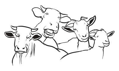 farm animals for coloring book with white background