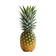 Fototapeta premium A single fresh pineapple isolated on white background with realistic texture and leafy crown