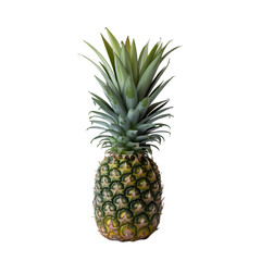 Fototapeta premium A single fresh pineapple isolated on white background with realistic texture and leafy crown