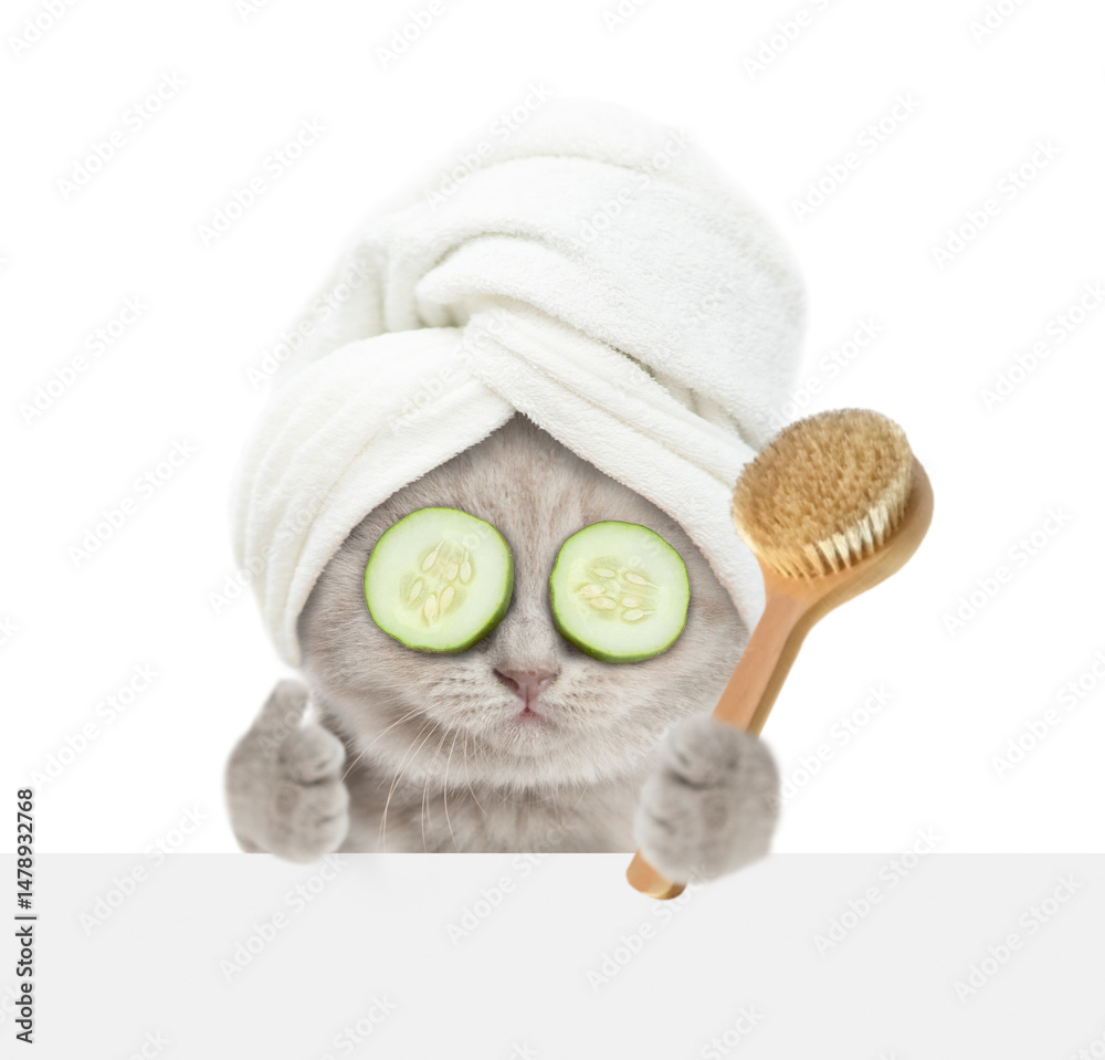 Aufkleber Cute kitten with towel on it head and with slices of cucumber on it eyes looks above blank banner holds shower brush and shows thumbs up gesture. Empty space for text. Isolated on white background