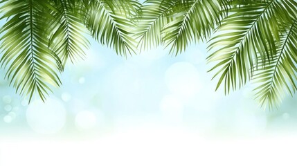 Fototapeta premium Tropical Palm Leaves Summer Vacation Paradise