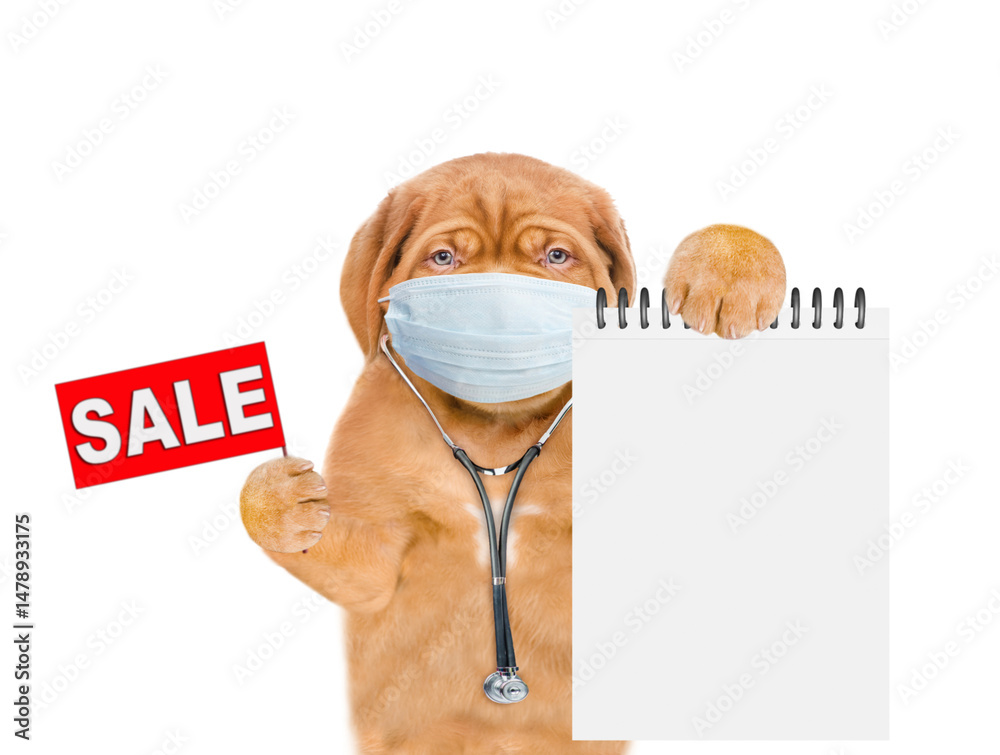 Poster funny puppy dressed like a doctor with stethoscope showing blank notebook and holding signboard with