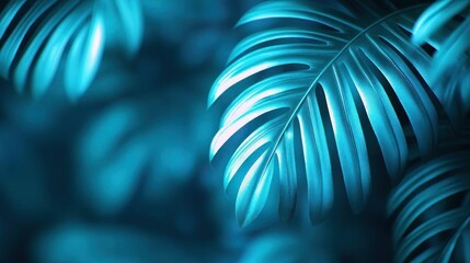 Teal Tropical Leaves Exotic Nature Background