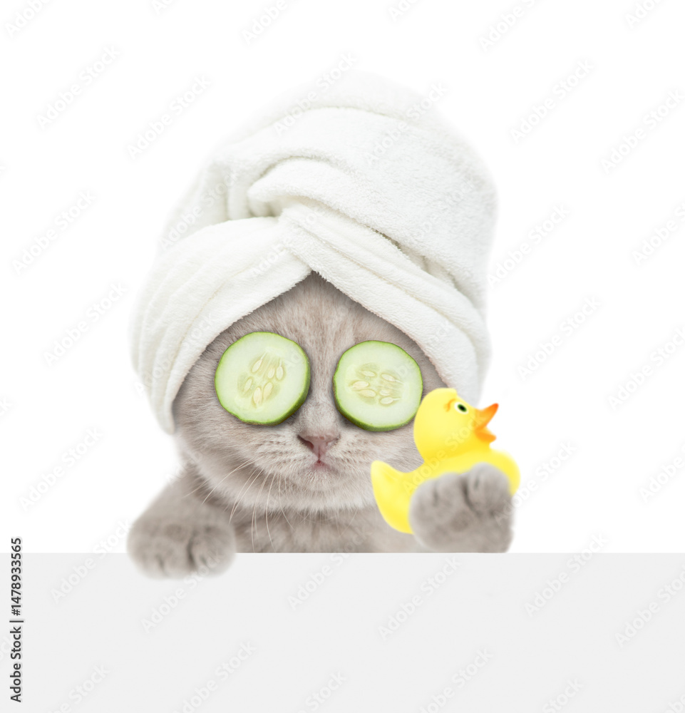 Aufkleber Cute kitten with towel on it head and with slices of cucumber on it eyes looks above blank white banner and shows rubber duck. Empty space for text. isolated on white background