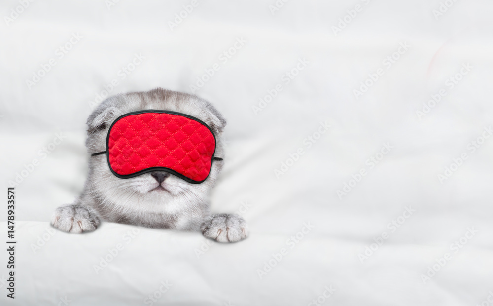 Aufkleber cozy tiny kitten wearing sleeping mask sleeps under blanket on a bed at home. top down view. empty s