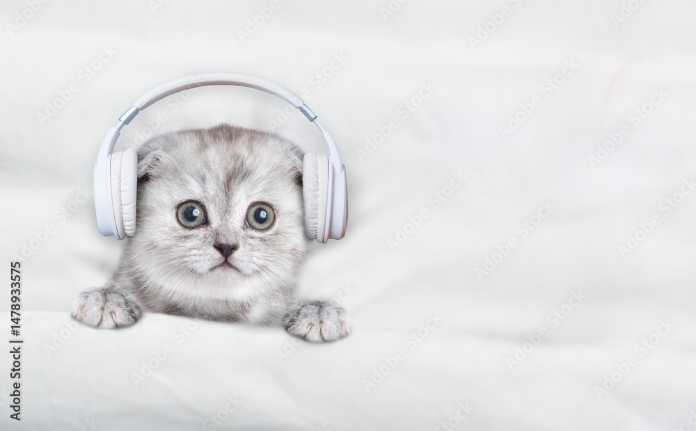 Aufkleber tiny kitten wearing headphones listening music on a bed at home. top down view. empty space for text