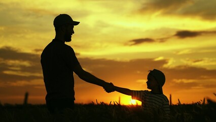 Father child son handshake in wheat field. Business Agriculture. Farmer father little son teamwork...