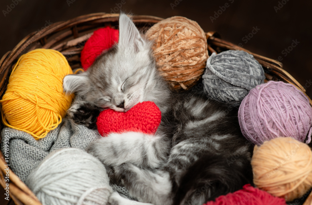 Poster cozy maine coon kitten hugs ball of thread and sleeps inside a basket with red heart and many clews 
