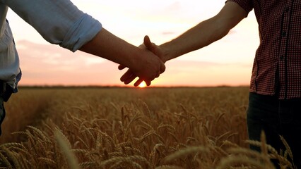 Business people shake hands outdoor in sun. Business teamwork. Male farmers shaking hands, wheat...