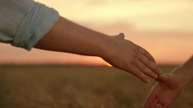 Business teamwork. Partners agreed to make deal. Men hake hands. Farmer men shaking hands, big plan, wheat field sunset. Handshake, business, people teamwork. Business people shaking hands outdoors