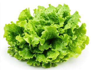 Fresh, vibrant green lettuce head (1)