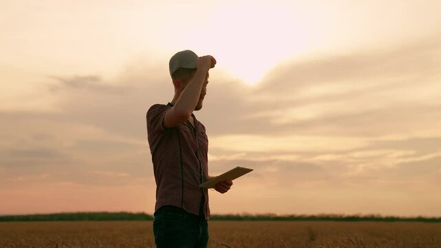 Tablet in hands of businessman outdoor. Businessman farmer with digital tablet working on field, estimating grain harvest. Farmer working on computer tablet. Agricultural business concept. Grow food