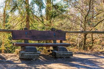 Rustic wooden bench in sunlit forest clearing surrounded by trees