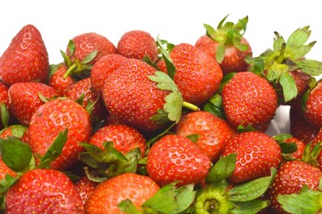 Close up view of strawberry harvest held in hand on white background. Concept of healthy food, vitamins, agriculture, market, sale of strawberries.