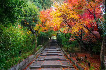 京都　高台寺　台所坂の紅葉
