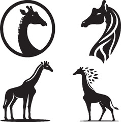 Fototapeta premium Giraffe – Tallest Land Animal Known for Long Neck and Graceful Grazing