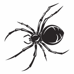 spider on a white background