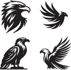 Eagle &ndash; Powerful Bird of Prey Symbolizing Freedom and Strength