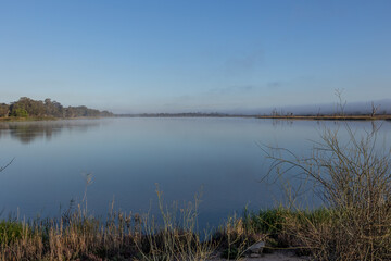 A tranquil, calm lagoon next to the Murray River in the early morning and surrounded by reeds, trees and grasses under a blue sky with reflections in the water at Waikerie in South Australia.