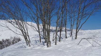 Sking at Hakuba Goryu Snow Resort, Nagano, Japan