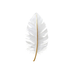 Fototapeta premium Single White Feather with Gold Stem on Black Background - Elegant Minimalist Design