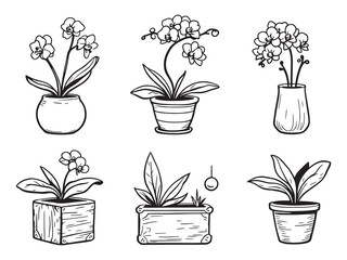 Orchid Planter Line Art Illustration