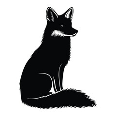 Obraz premium Fox black color on isolated white background
