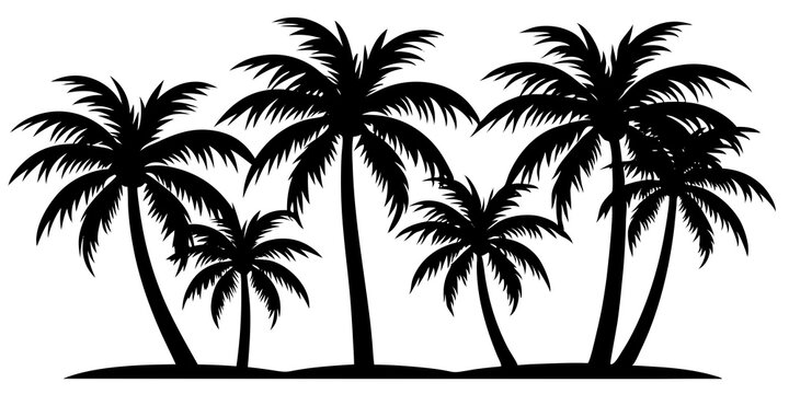 Palm trees design elements set, plam tree silhouette on white background