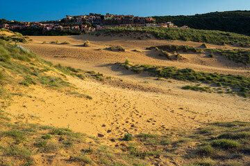 Fototapeta premium Sand dunes at Spiaggia di Torre dei Corsari, with holiday homes in the background, Sardinia, Italy