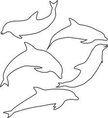 Collection of dolphin line drawings, sleek ocean animals in various poses, vector art for marine designs
