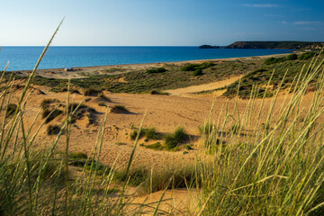 Sand dunes and vegetation at Spiaggia di Torre dei Corsari, Sardinia, Italy © jakazvan