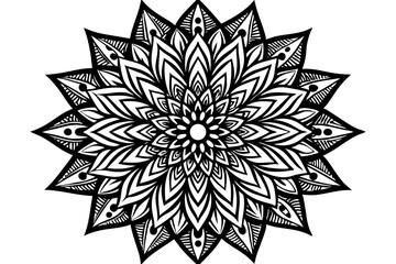 Abstract floral vector art featuring a black and white mandala snowflake pattern, perfect for winter nature illustration and decoration