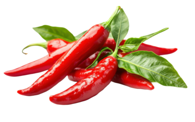 Bunch of red peppers with green leaves on top