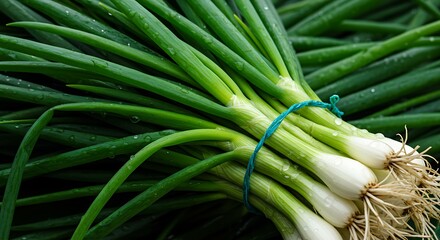 Obraz premium Emerald Abundance: A Harvest of Spring Onions