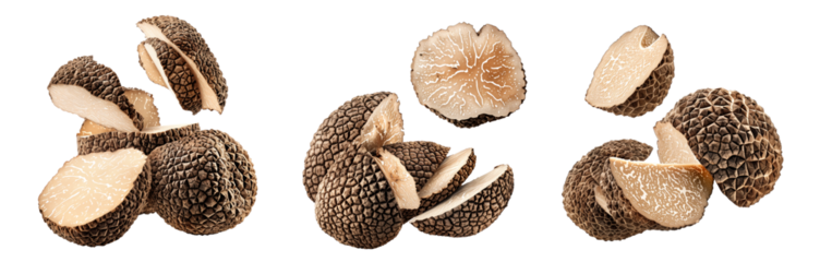 Set of summer truffles Scorzones isolated on white transparent background, great for culinary and gourmet themes.