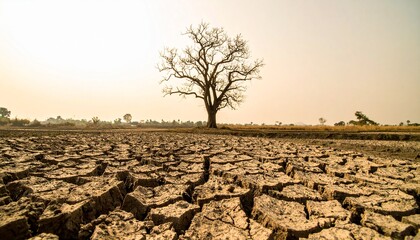A stark and emotive visual captures a dry, leafless tree standing alone in the center of a parched, cracked field, dramatically conveying the impact of severe drought.