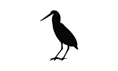 Agami heron bird Silhouette Design  And Vector Illustration. 

