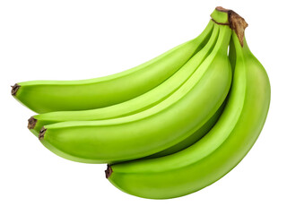 Bunch of green plantains freshly harvested on a black background for culinary use