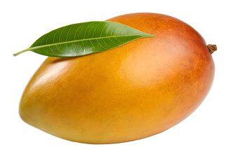 Fresh ripe mango fruit with green leaf isolated on a solid black background