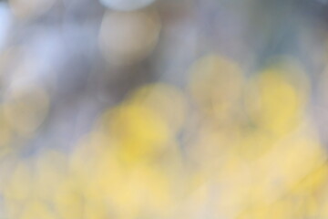 柔らかい光に包まれた春の背景素材