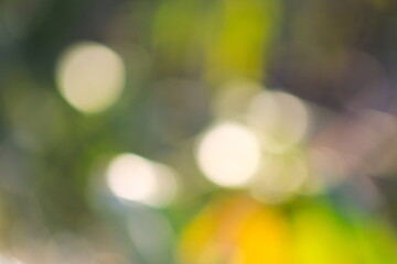 光が創り出す春色の背景素材