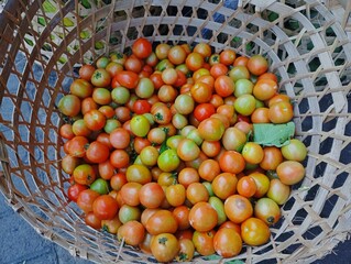 Fresh tomatoes in bamboo basket at market