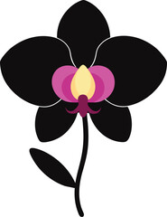 Fototapeta premium orchid bloom vector silhouette