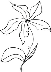 Elegant Line Art Drawing of a Single Orchid Flower with Leaves